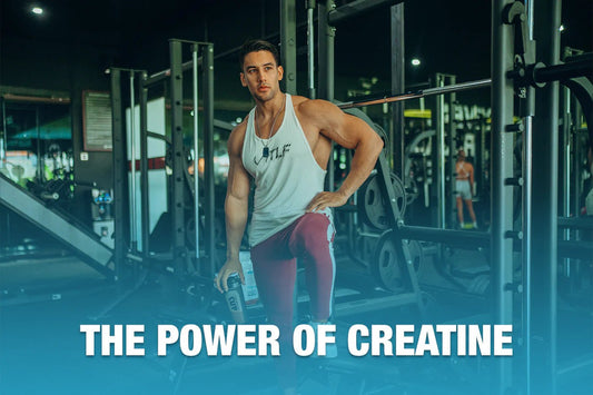 Creatine: Significant Improvements to Muscle Growth - PrimeActive Products