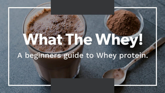 Protein: a "Must Have" with Training? - PrimeActive Products